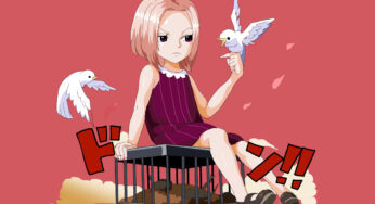 ワンピース女性キャラ一覧（イラスト）
