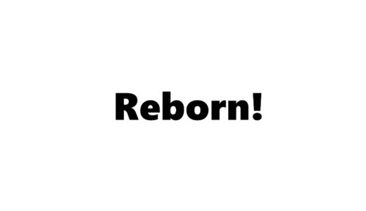 『家庭教師ヒットマンREBORN!』