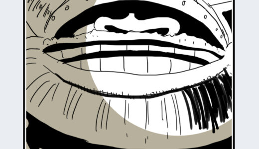 『ブロギー』キャラクター紹介（ONE PIECE）