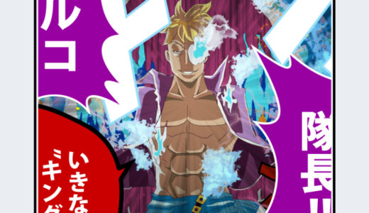 『マルコ』キャラクター紹介（ONE PIECE）